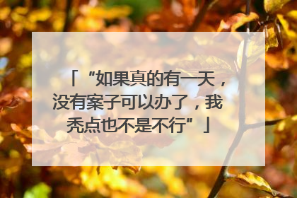 “如果真的有一天，没有案子可以办了，我秃点也不是不行”